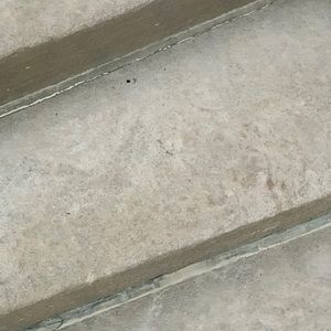 Meet your Posher, Moises